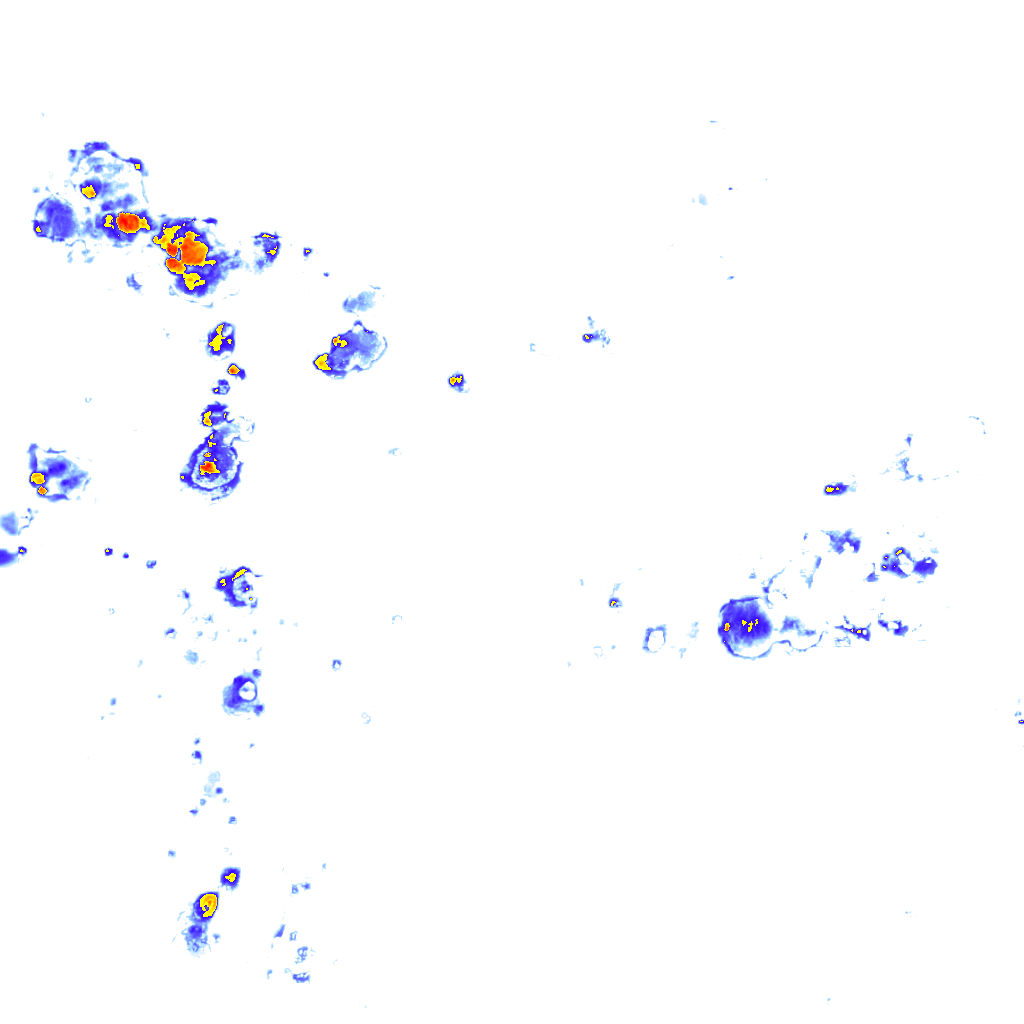 Image Layer