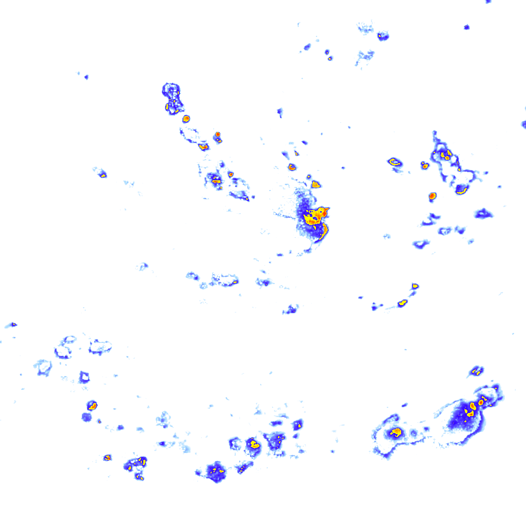 rainLayer