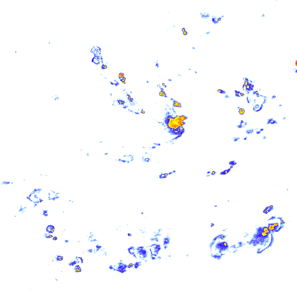 rainLayer