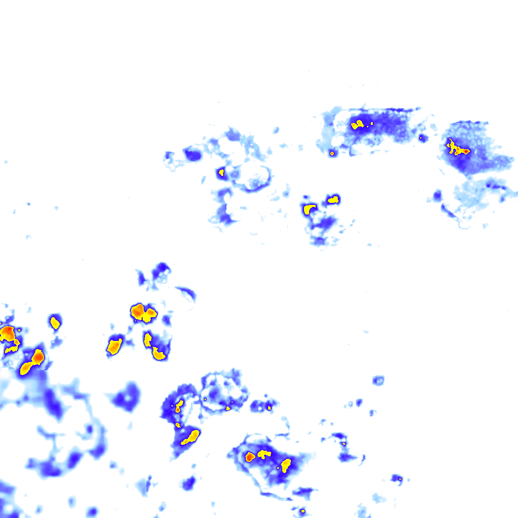 Image Layer