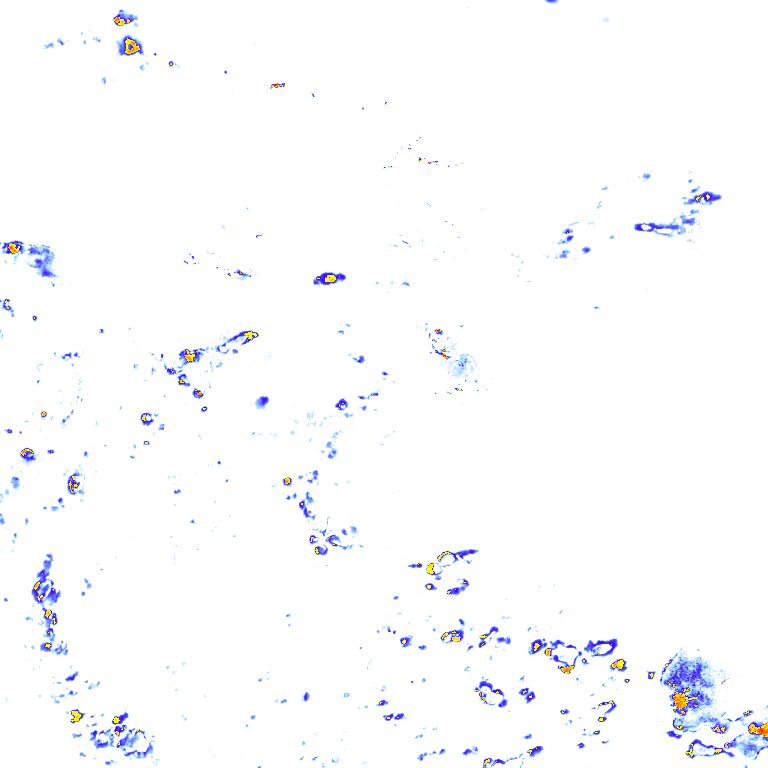 Image Layer