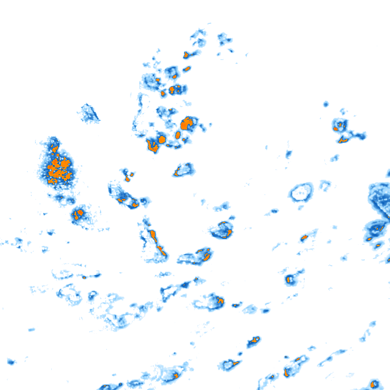 rain layer