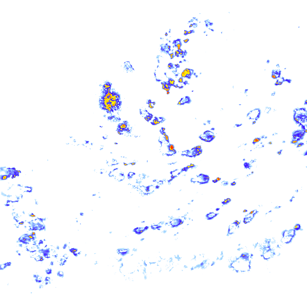 rainLayer
