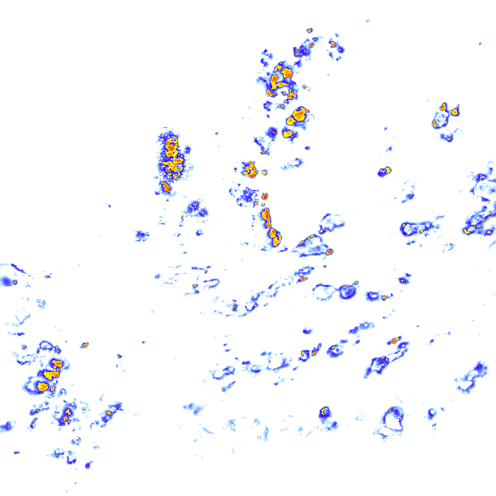 rainLayer