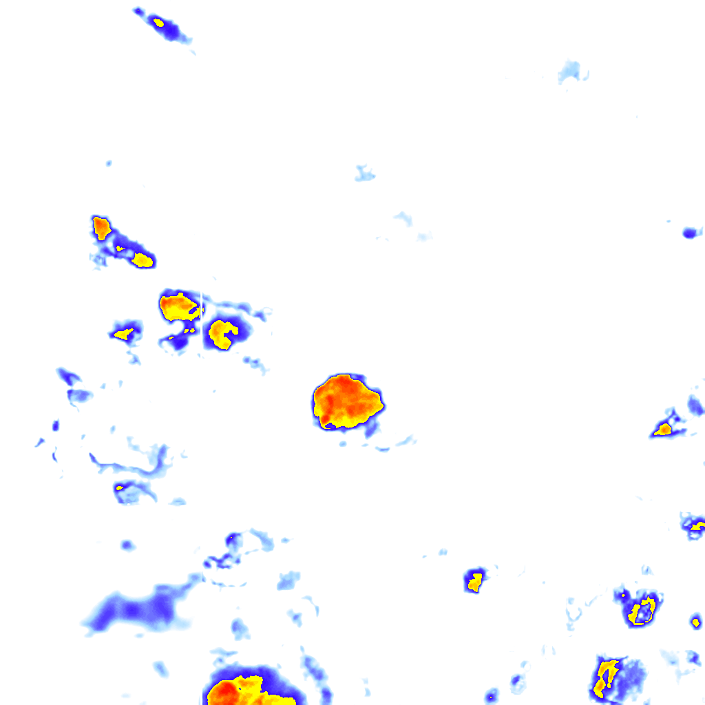rainLayer
