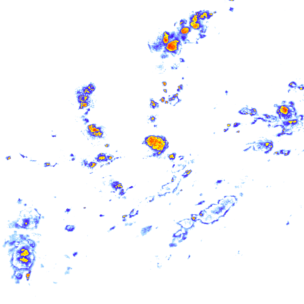 rainLayer
