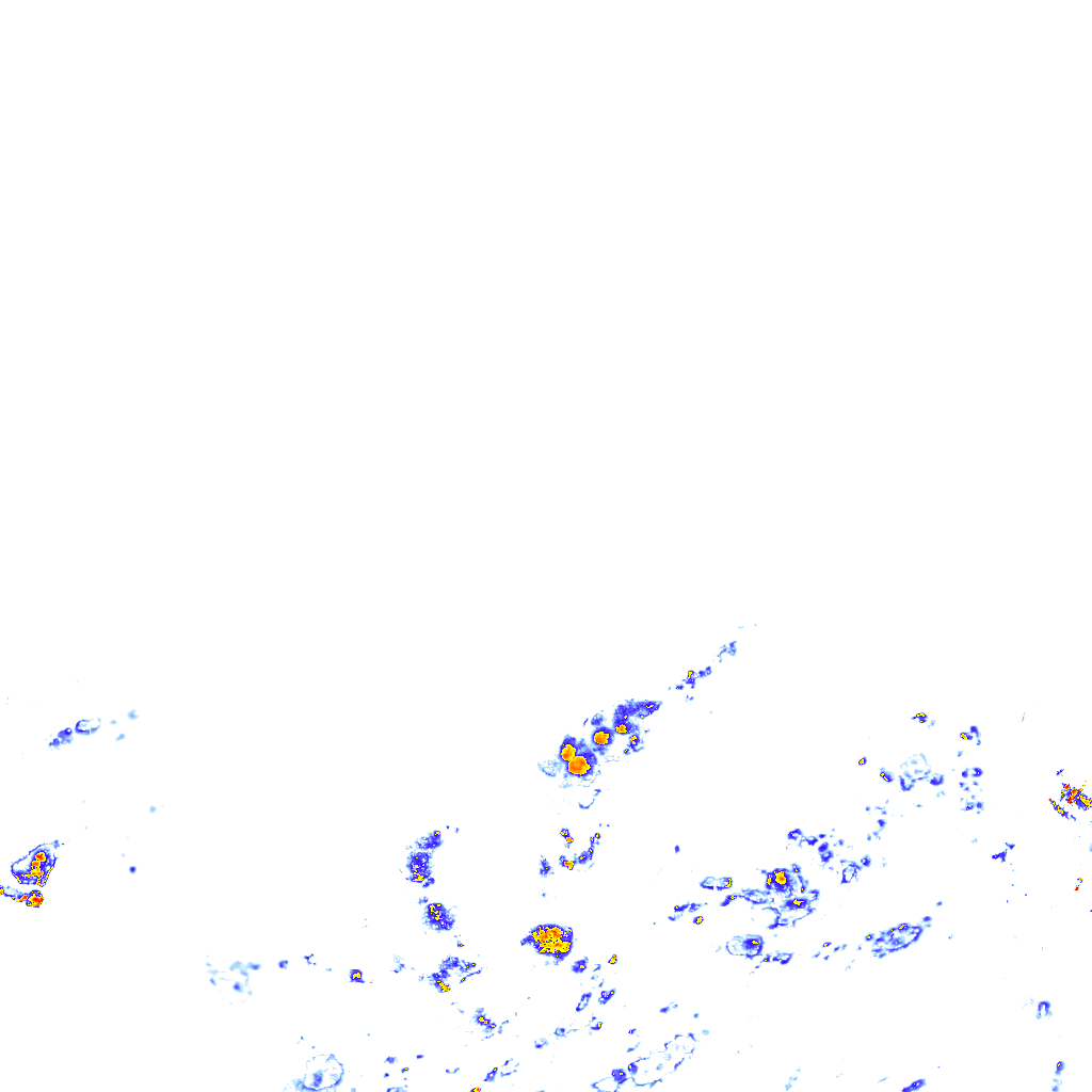 rainLayer