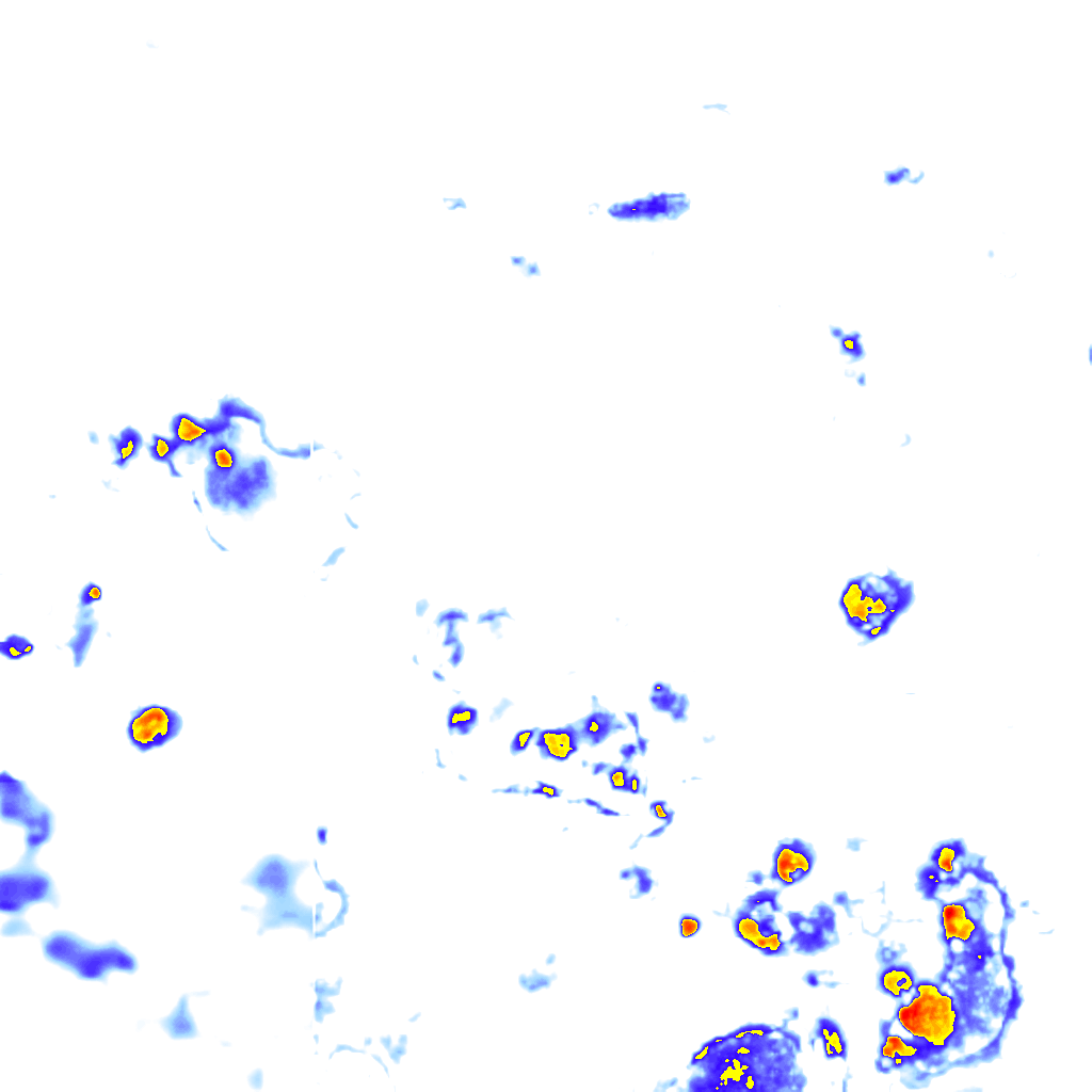 Image Layer