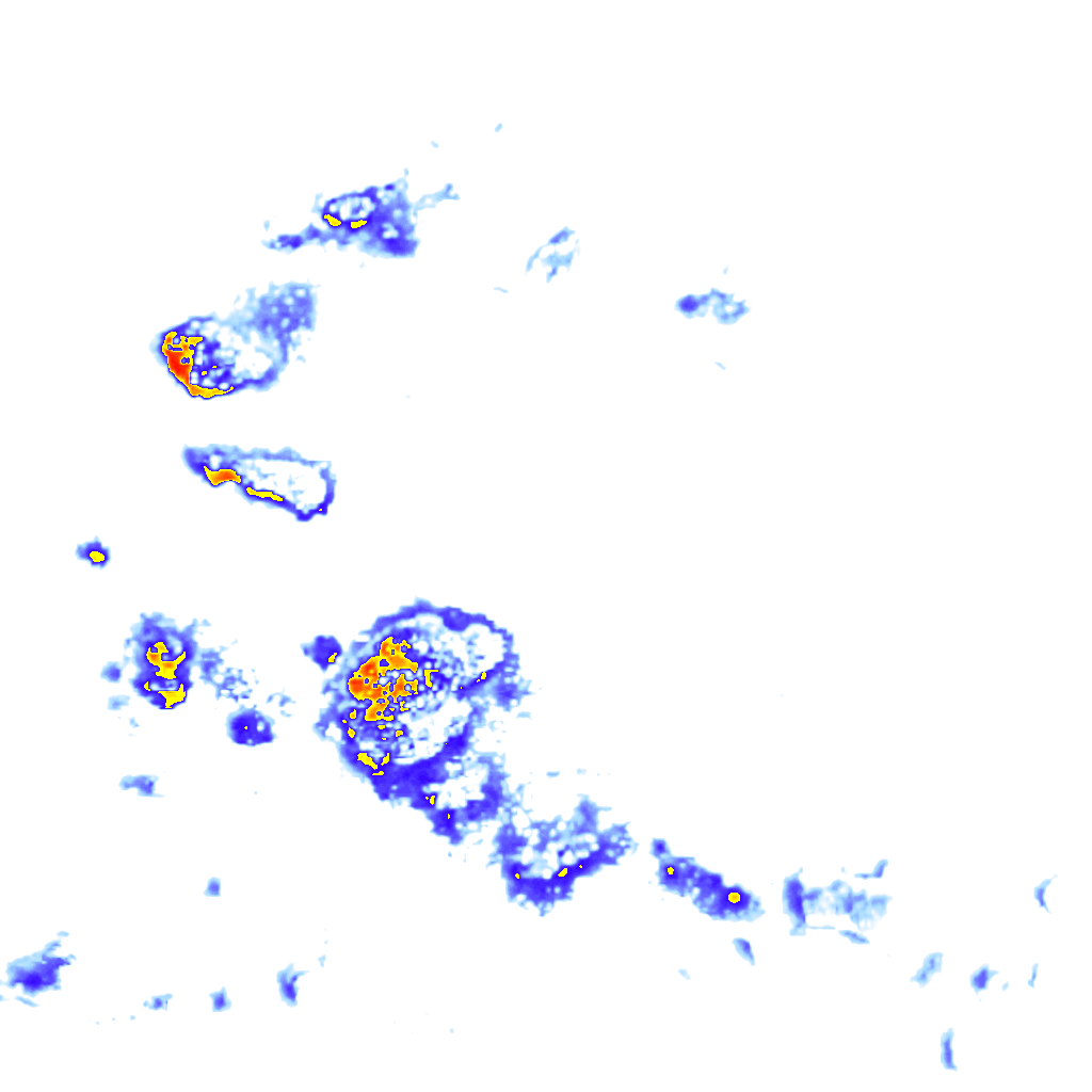 rainLayer