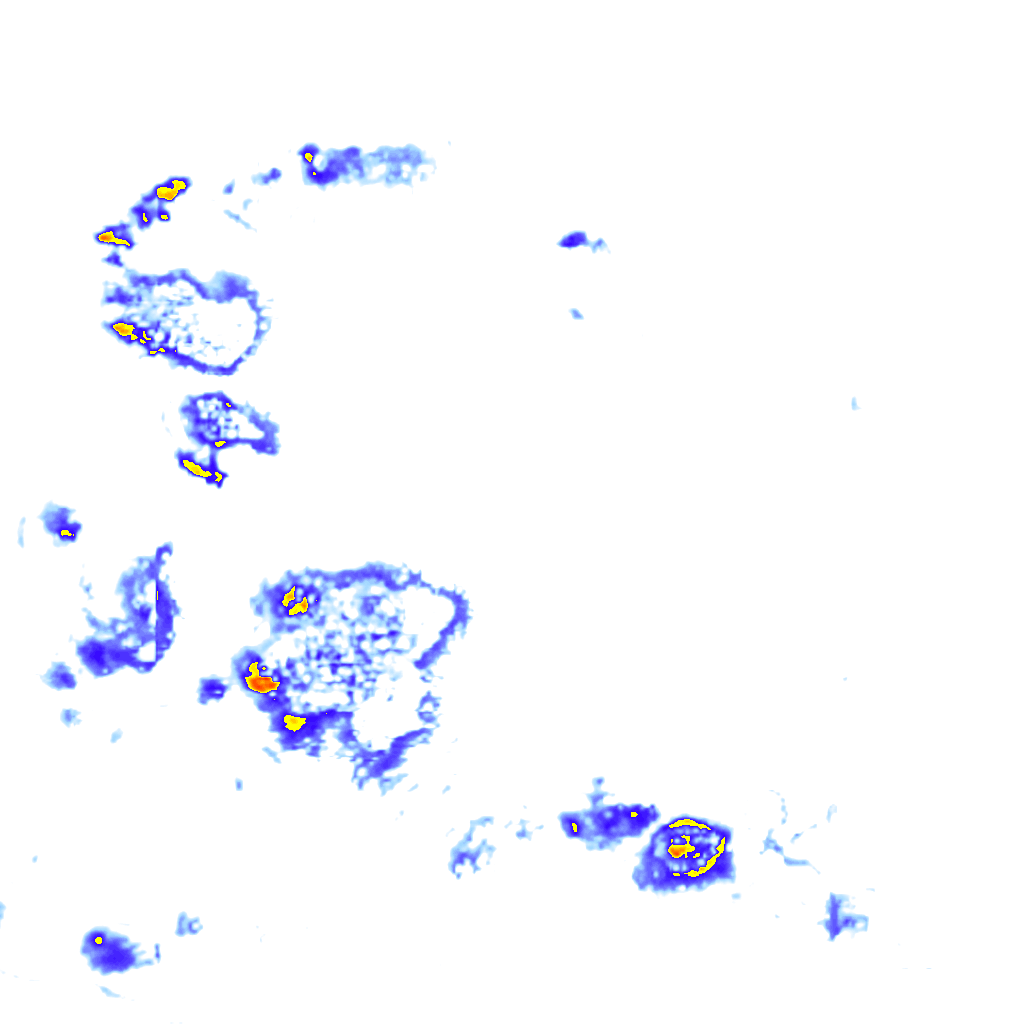 Image Layer