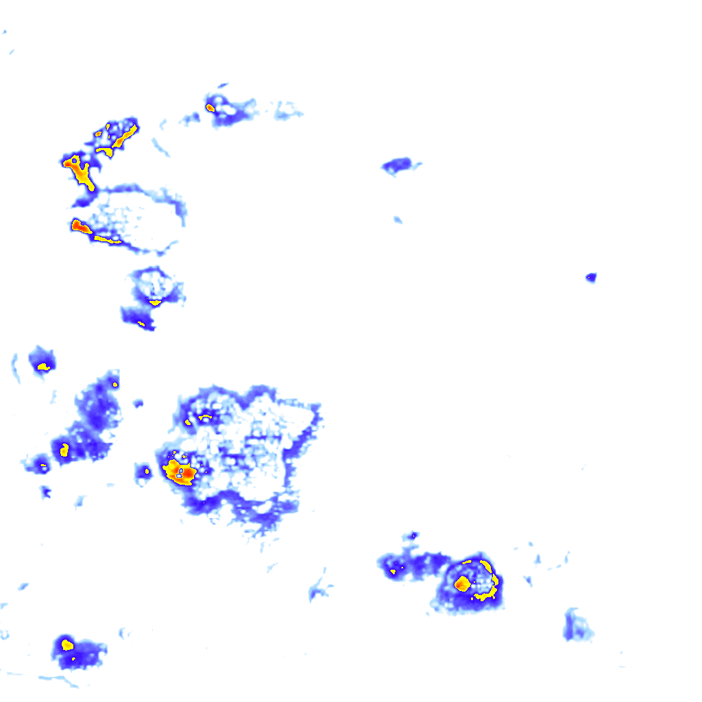 rainLayer