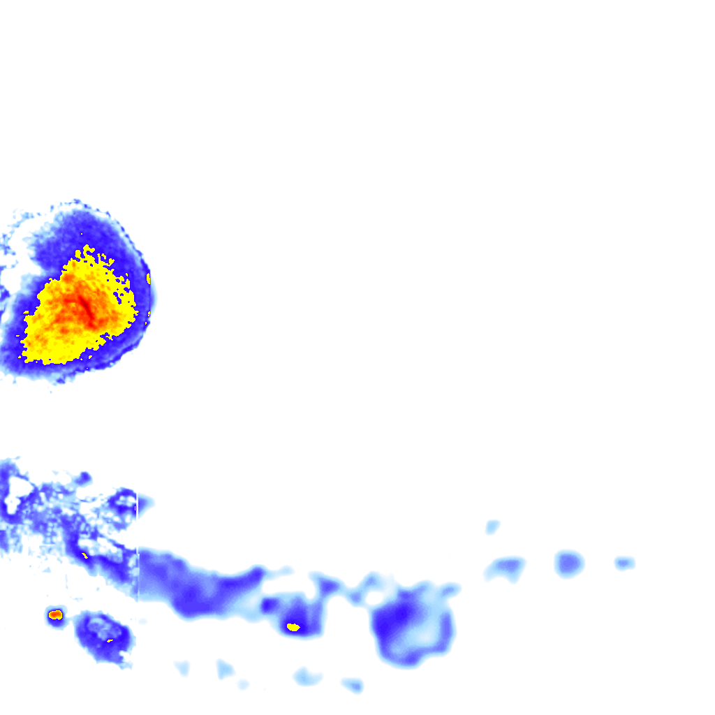 Image Layer