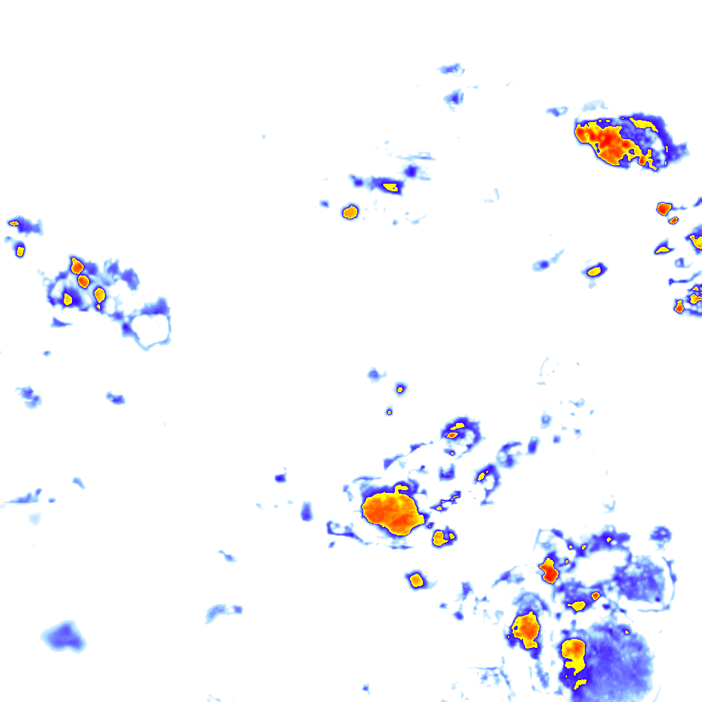 Image Layer