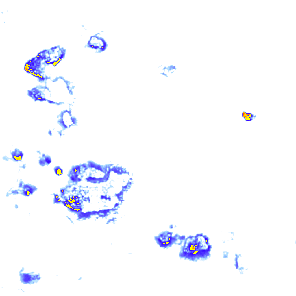 Image Layer