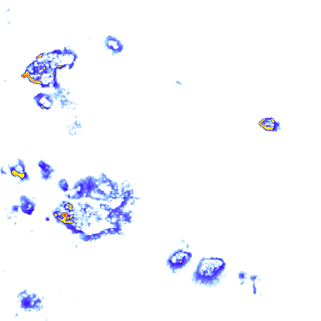 Image Layer