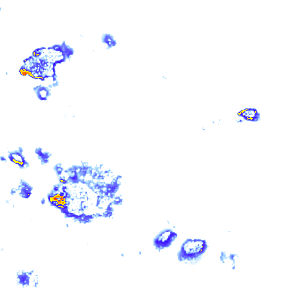 Image Layer