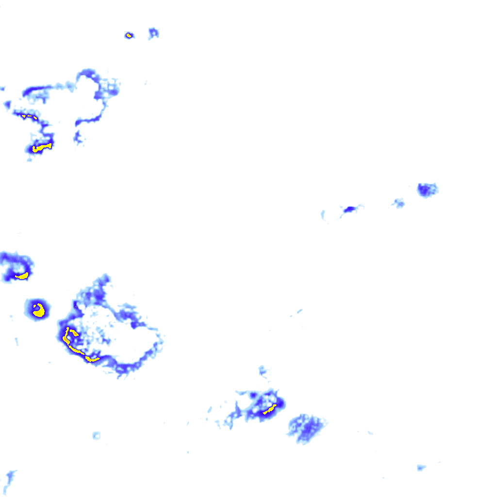Image Layer