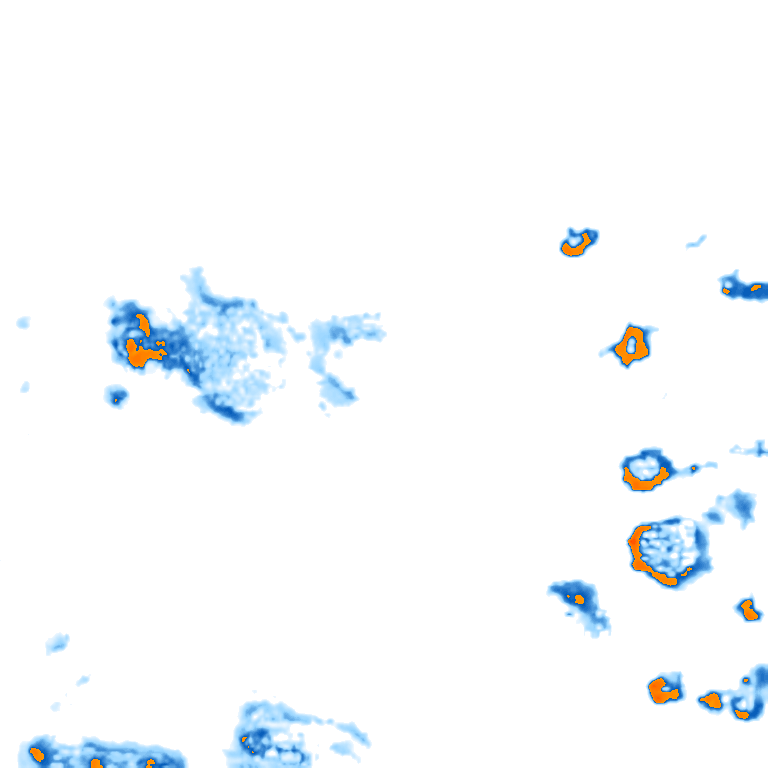 rain layer