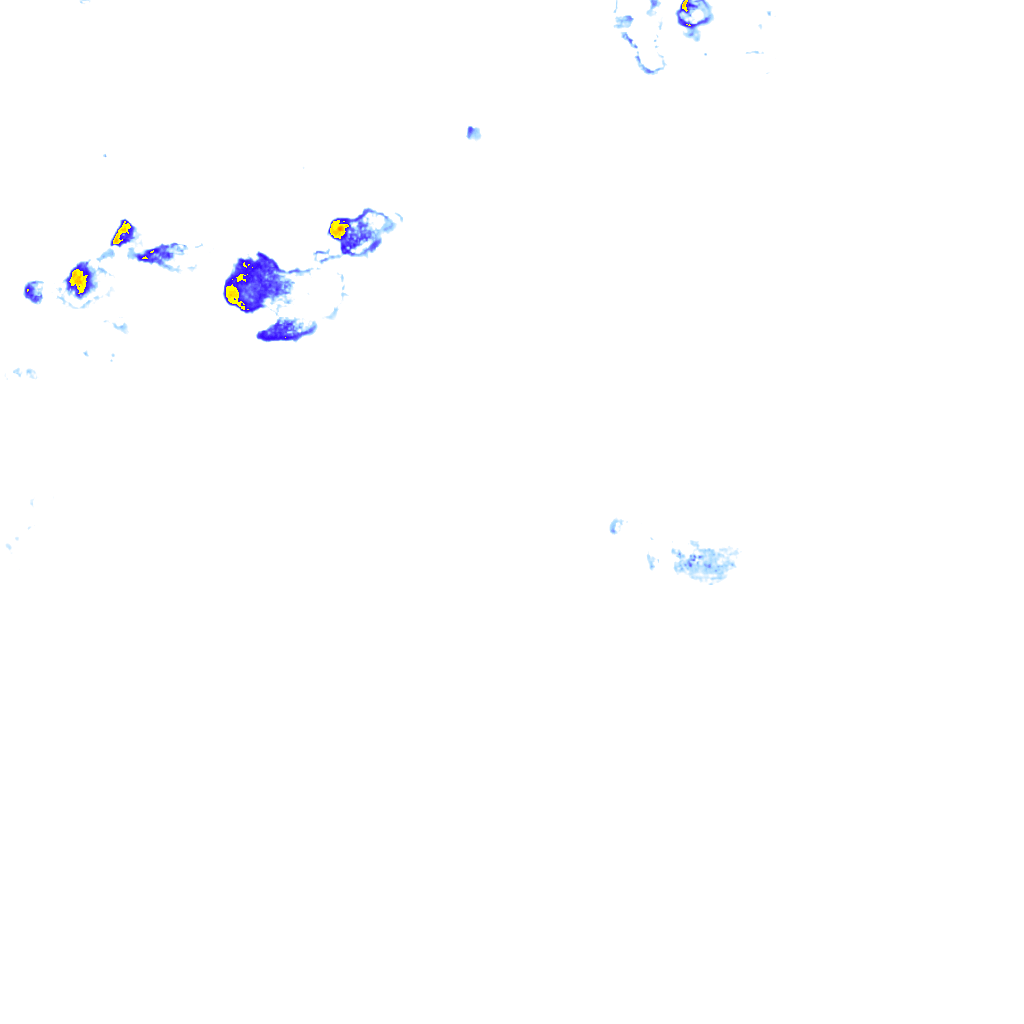 rainLayer