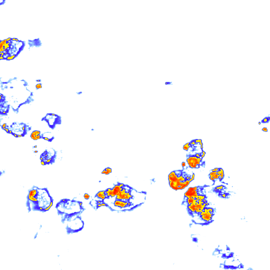 Image Layer