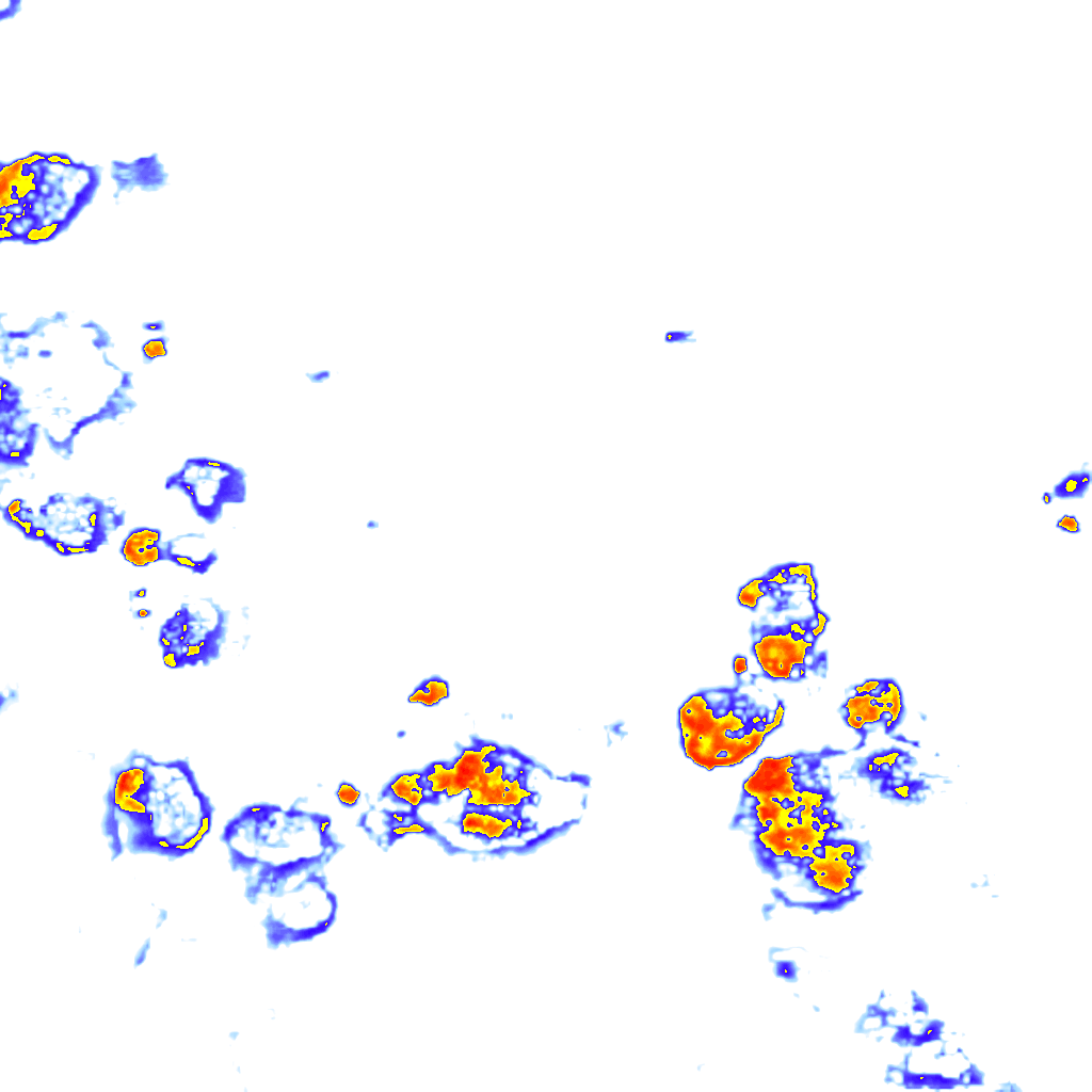 Image Layer