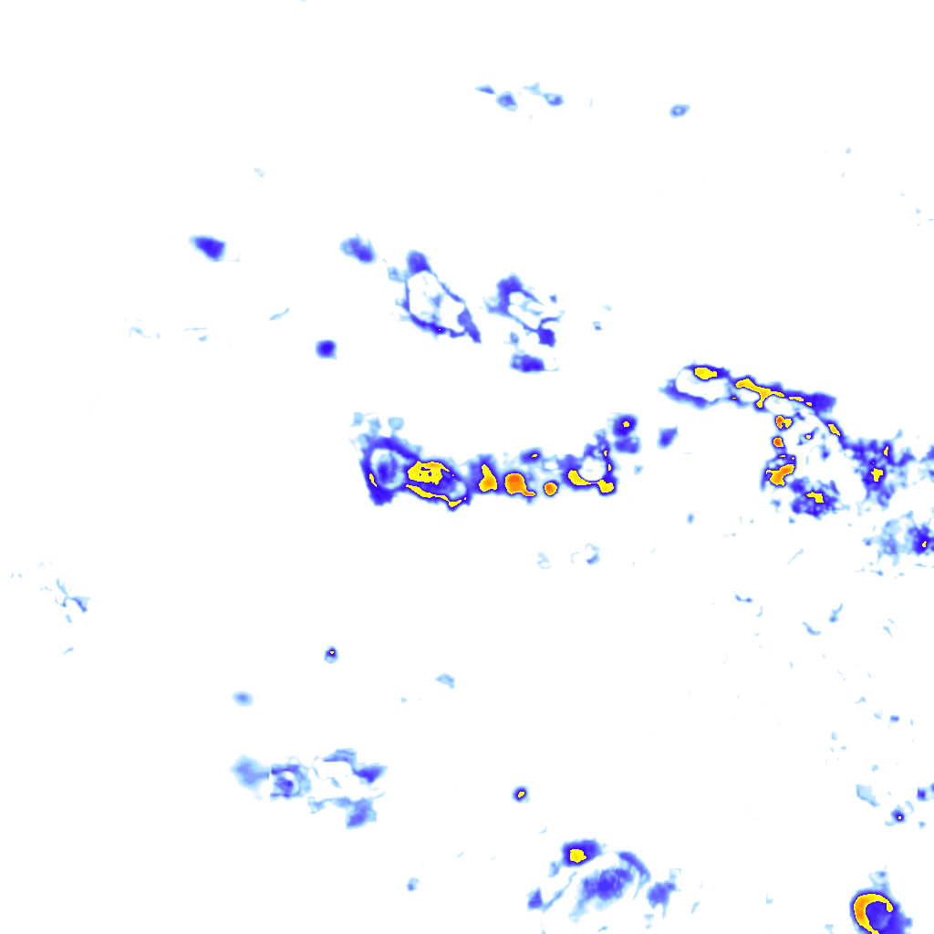 Image Layer