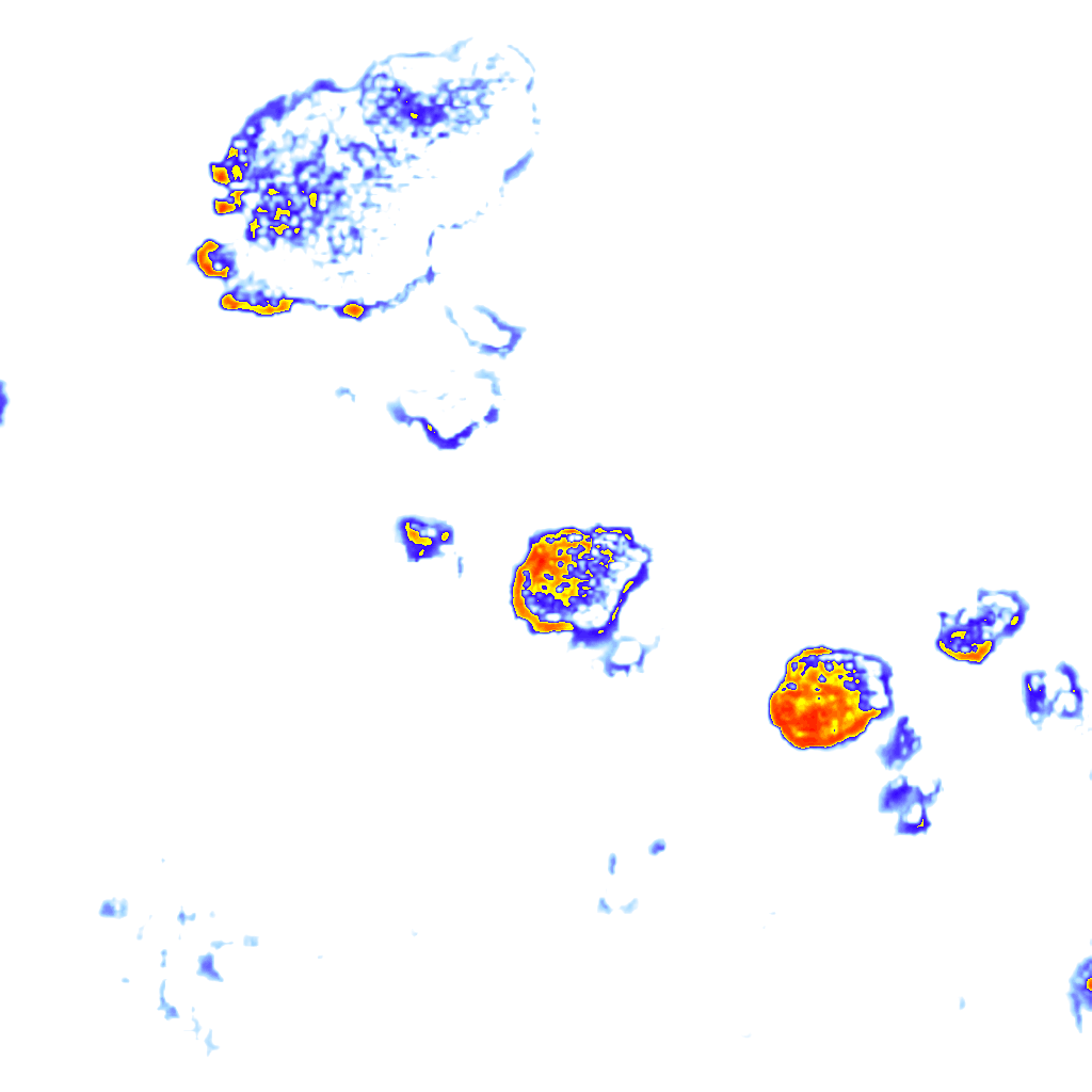 Image Layer