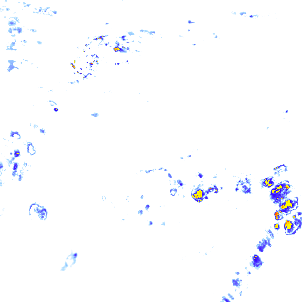 rainLayer