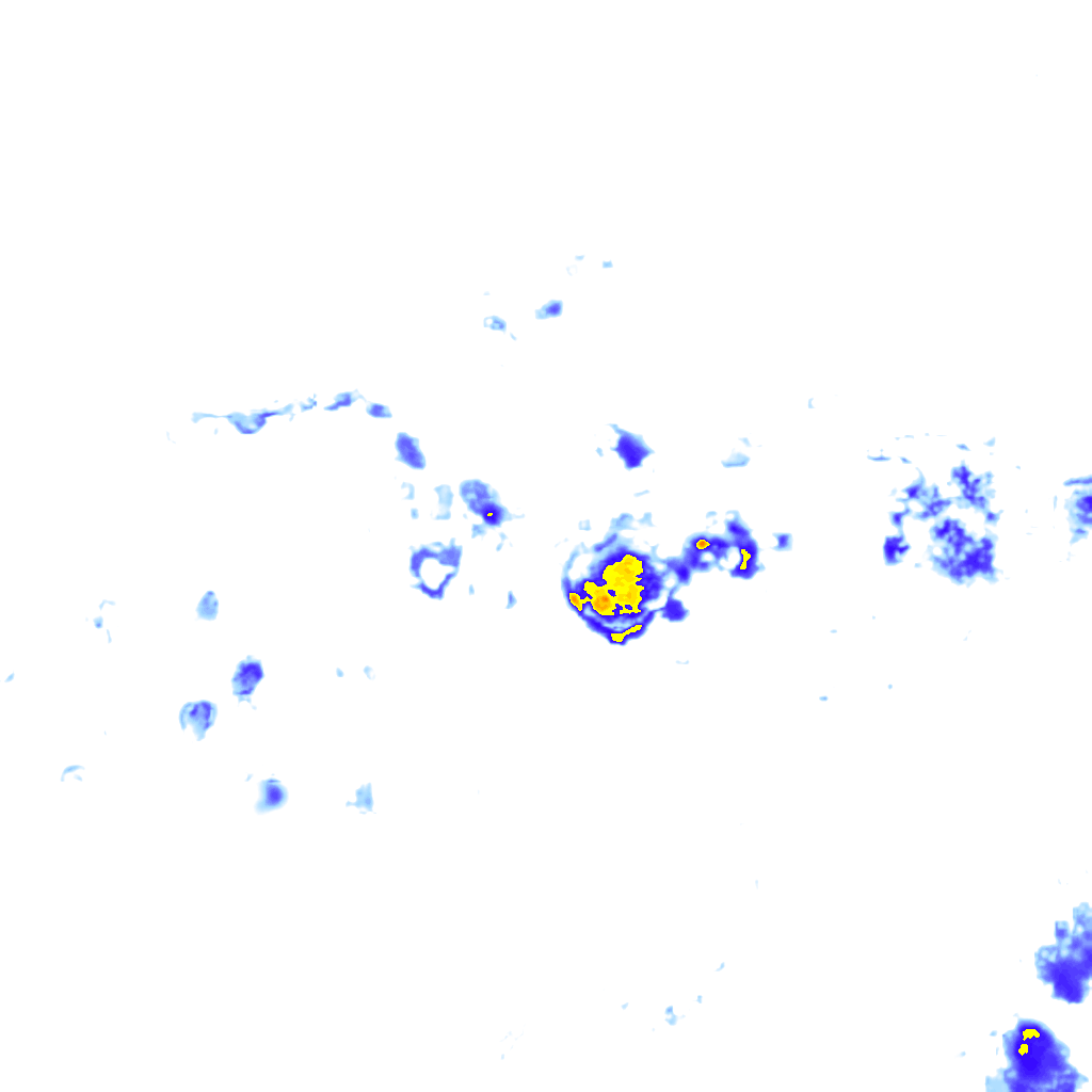 Image Layer