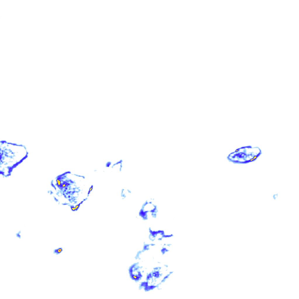 Image Layer