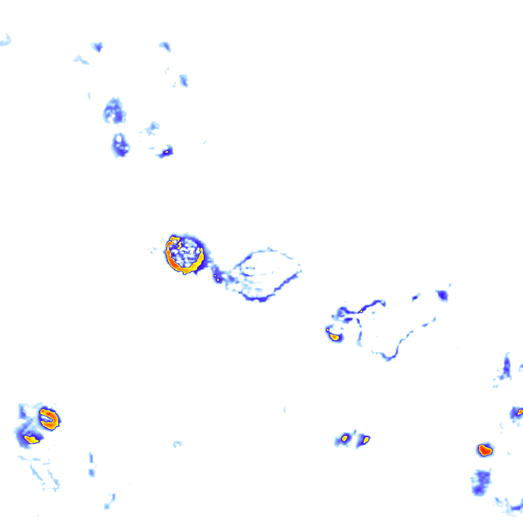 Image Layer