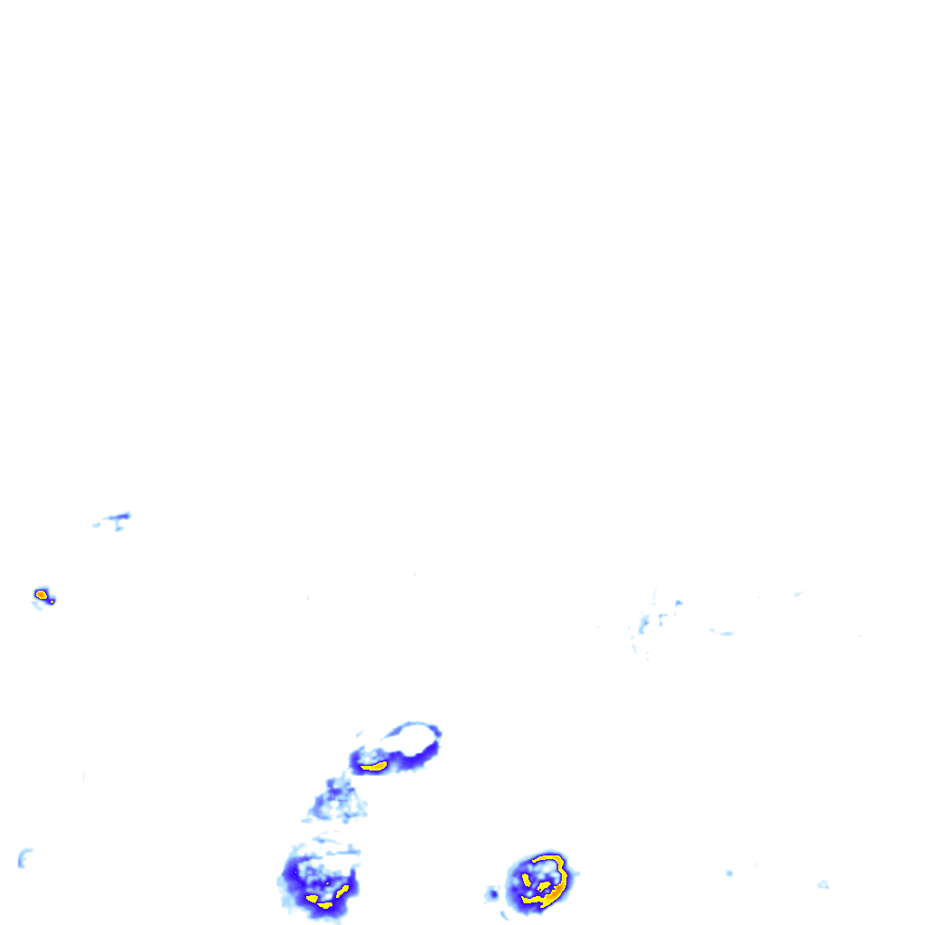 rainLayer