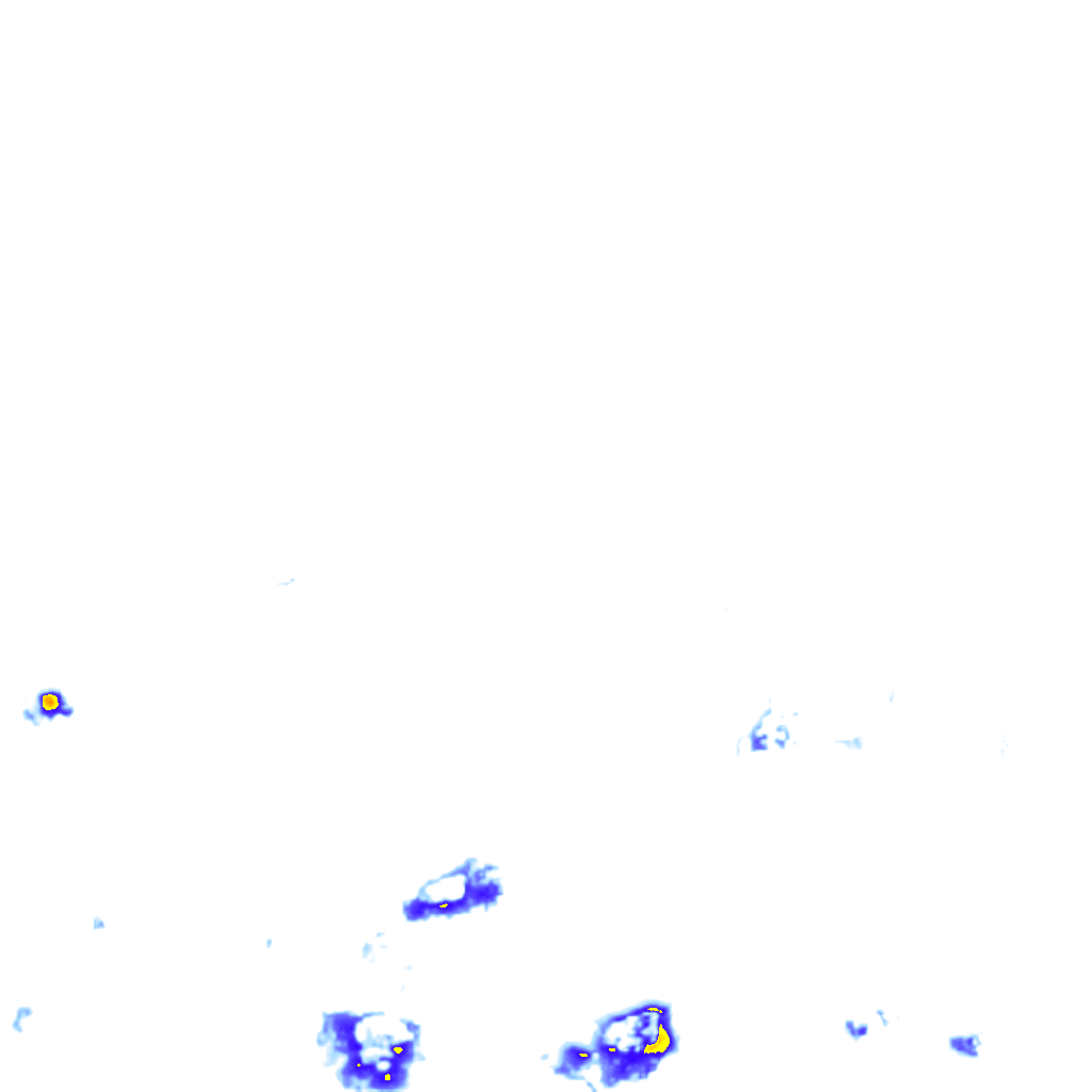 rainLayer