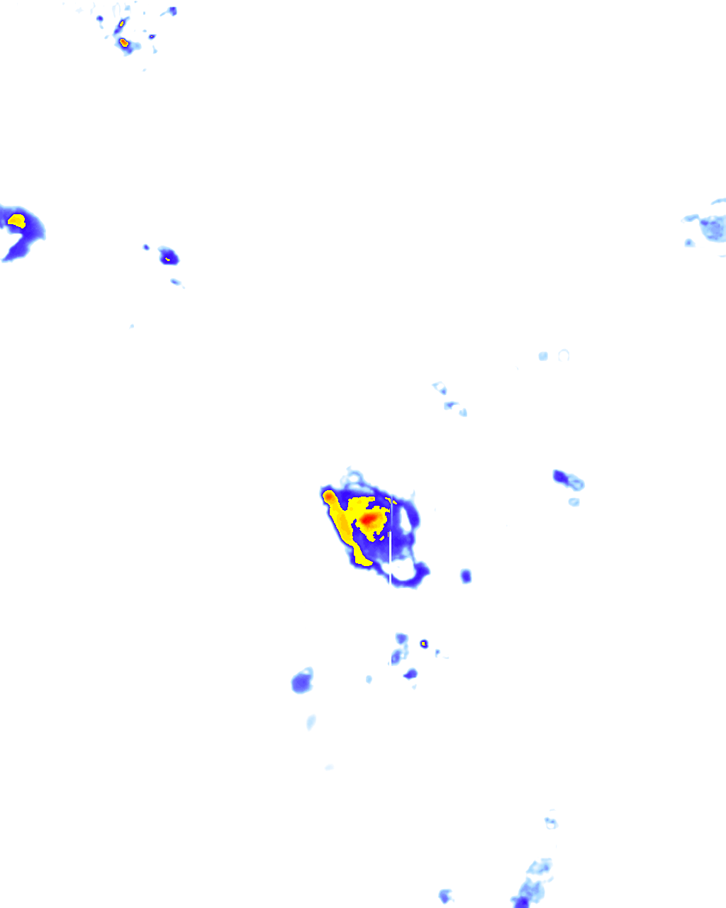 rainLayer