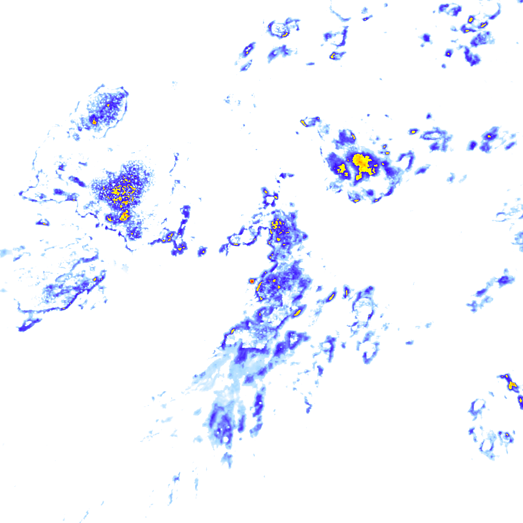 Image Layer