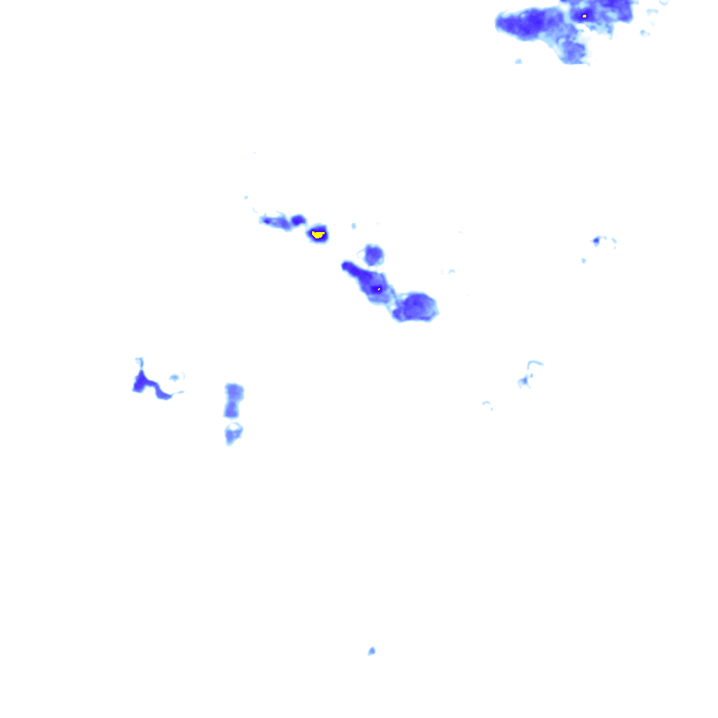 rainLayer