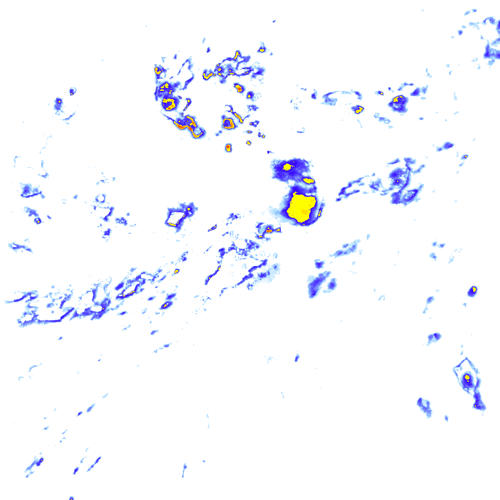 rainLayer