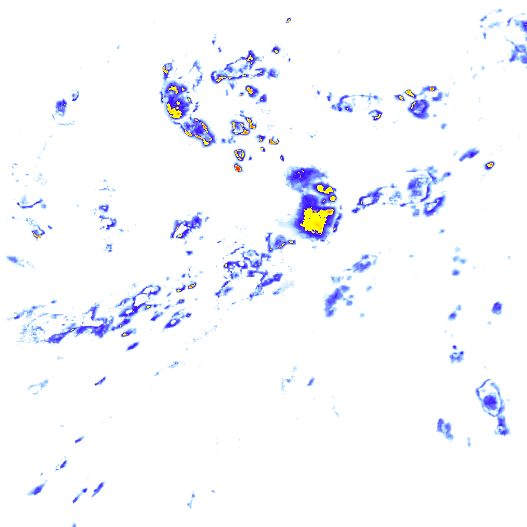 rainLayer