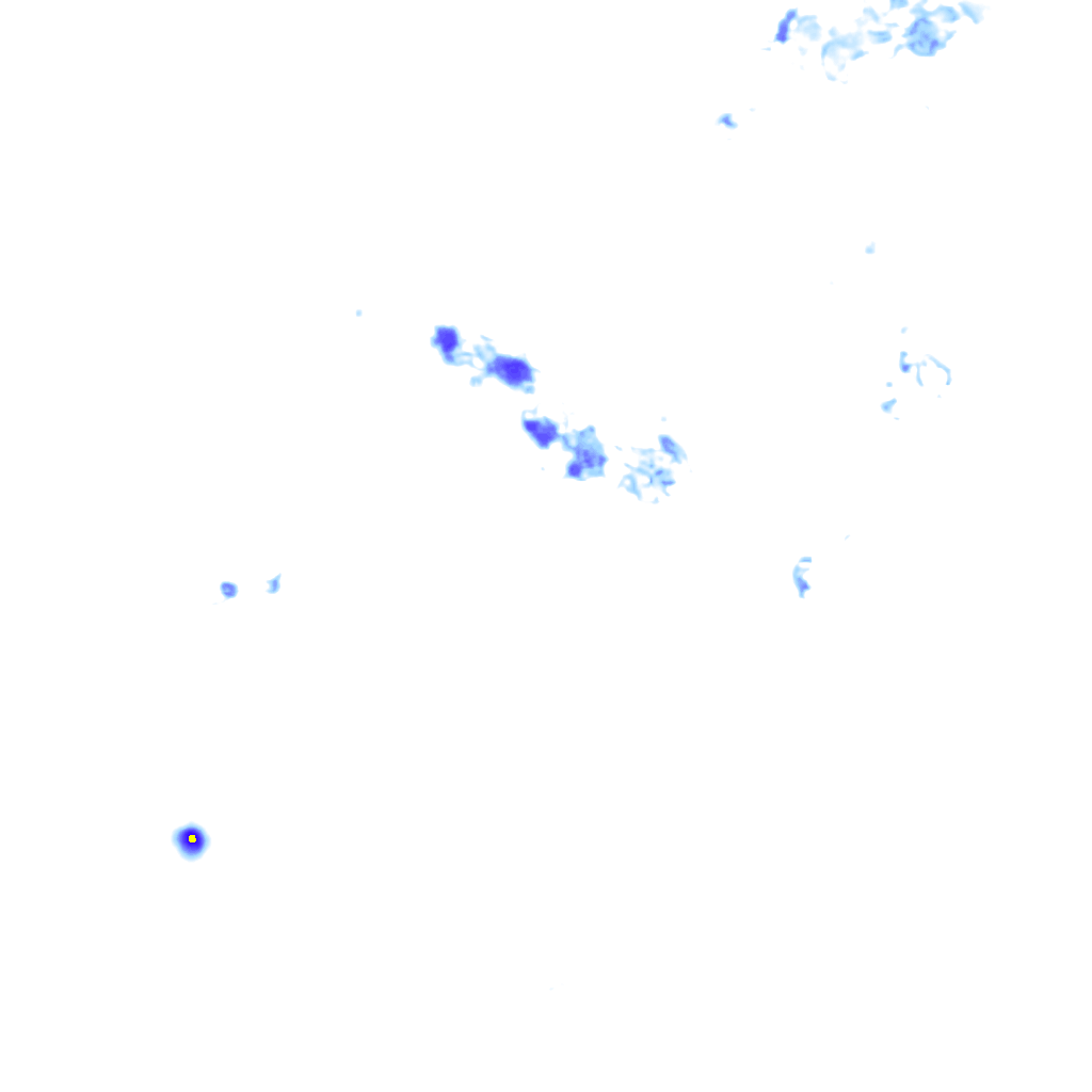 Image Layer