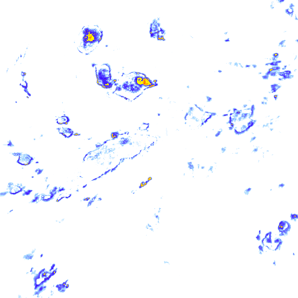 rainLayer