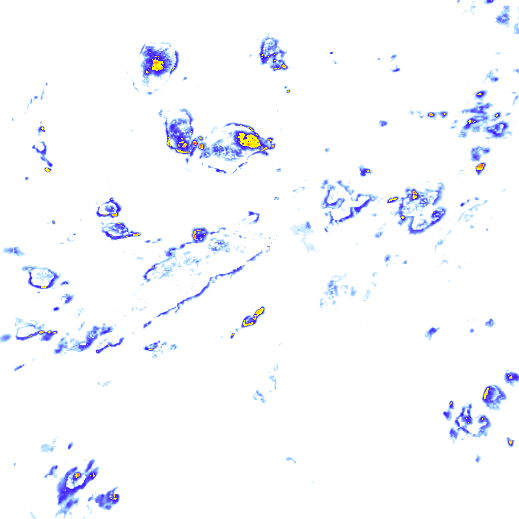 rainLayer