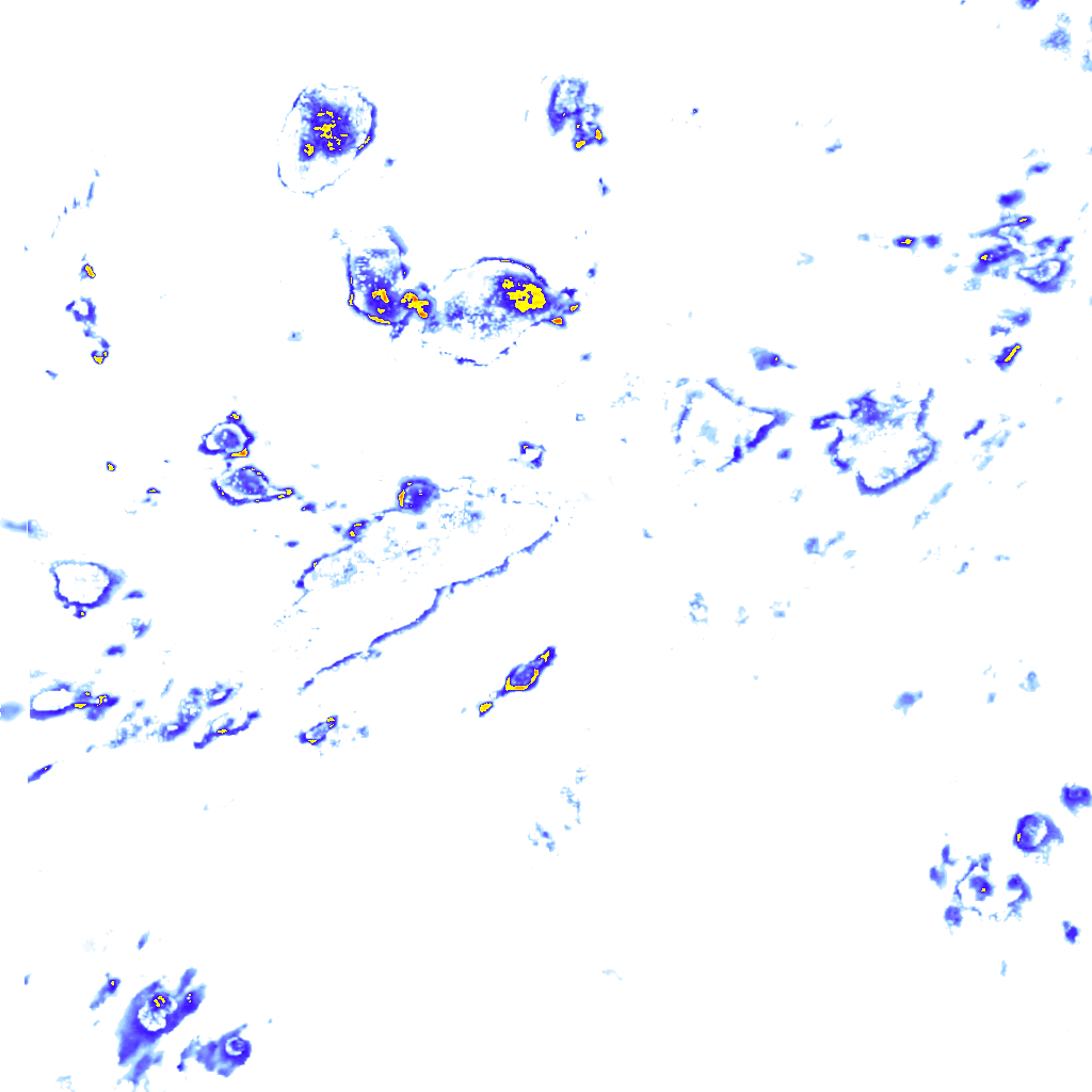 rainLayer