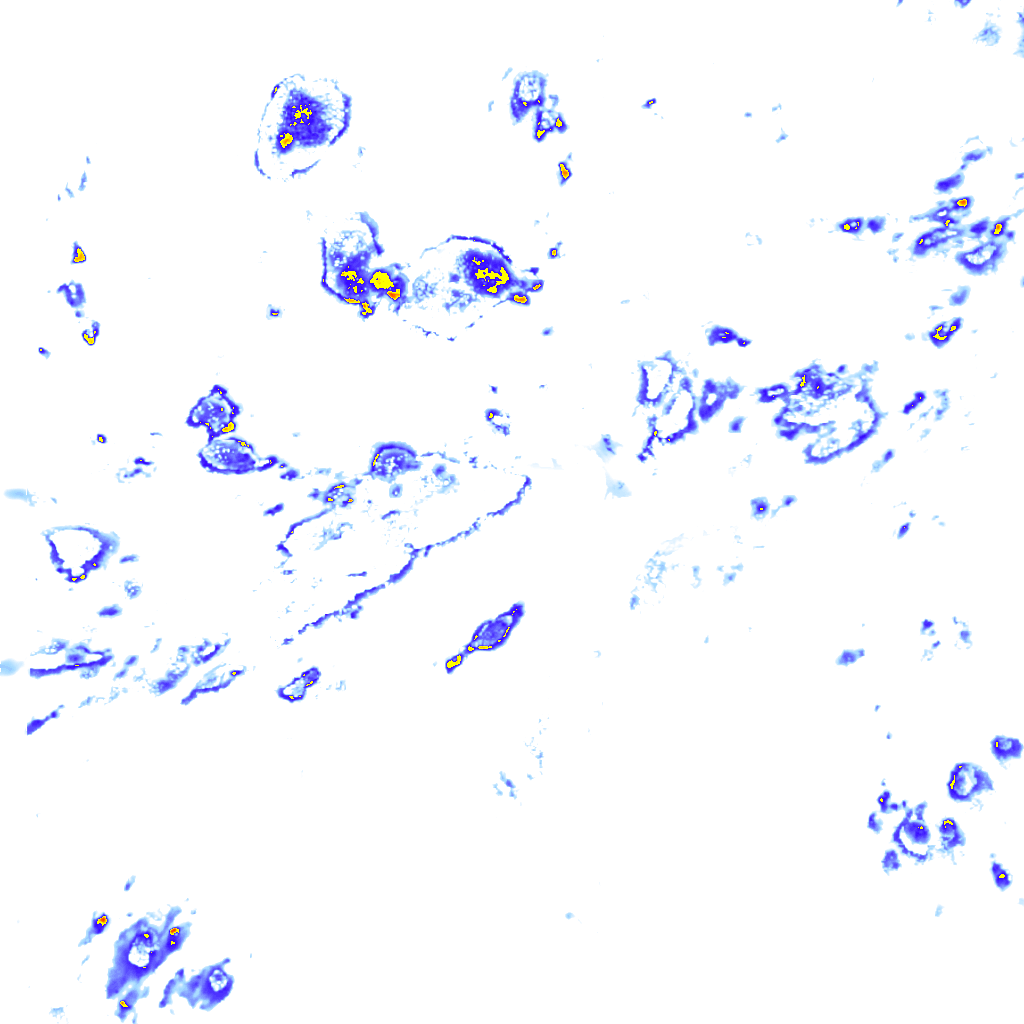 rainLayer