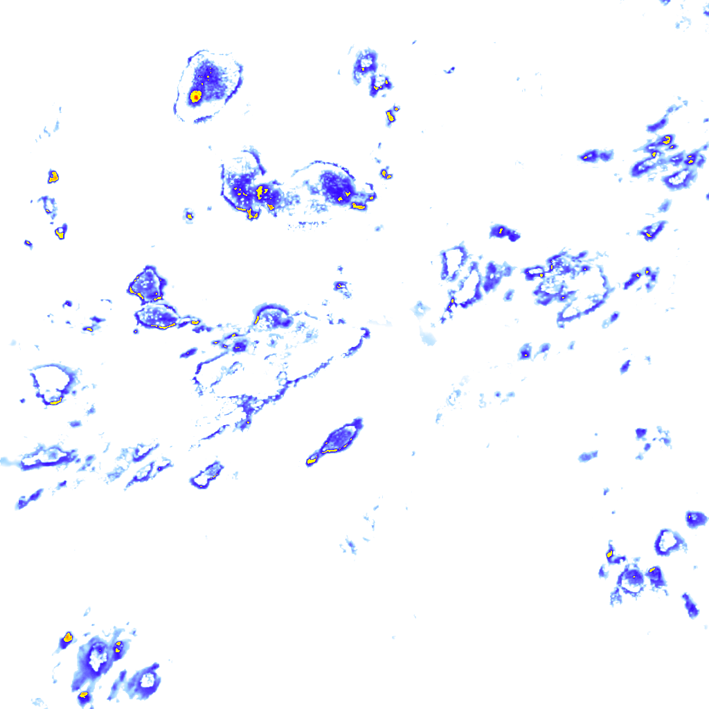 Image Layer