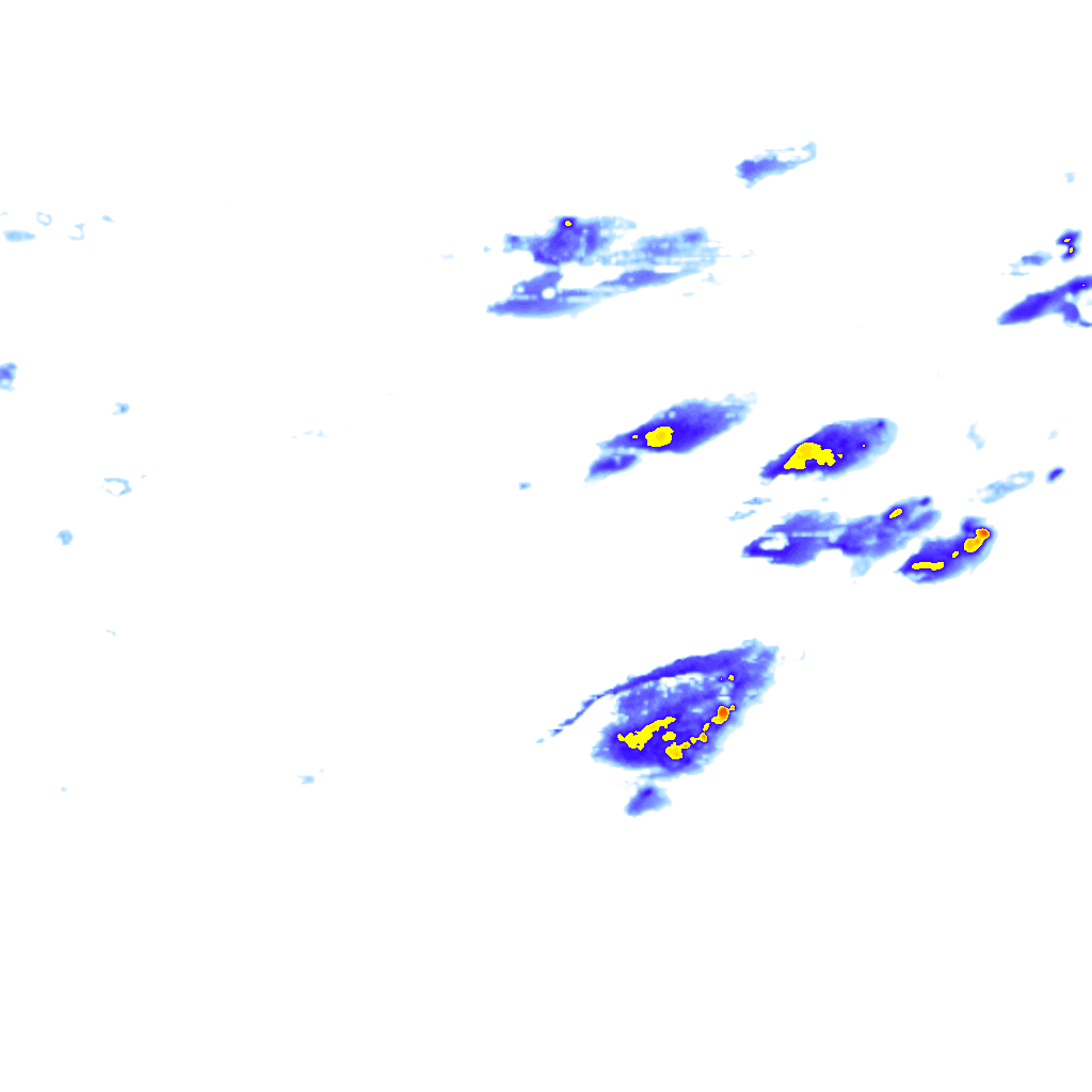 Image Layer