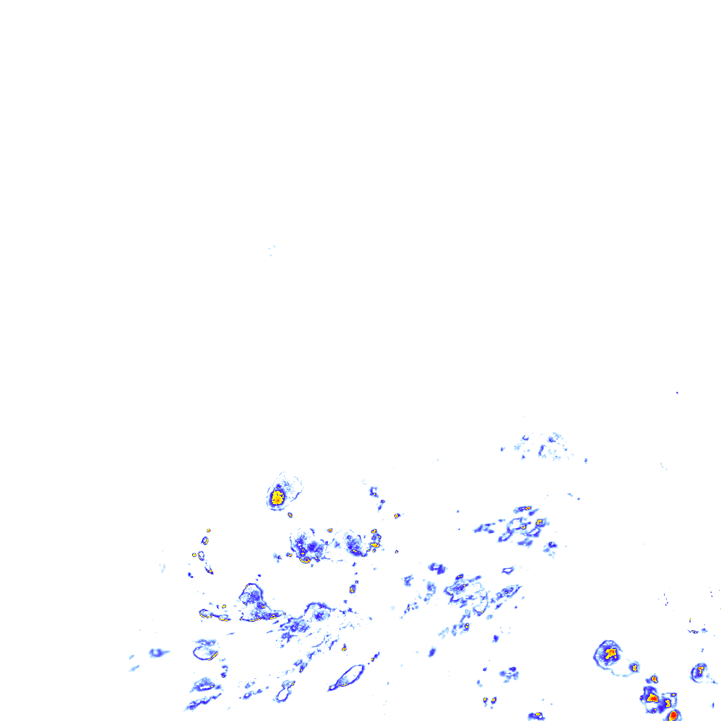 rainLayer