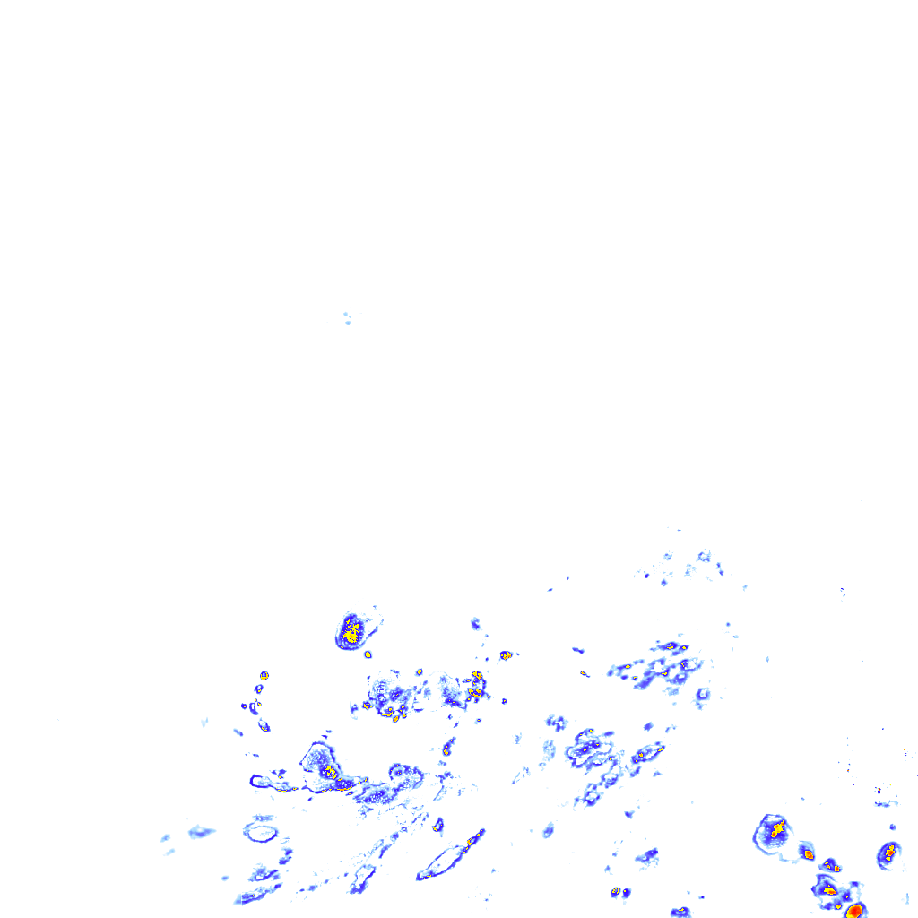 rainLayer