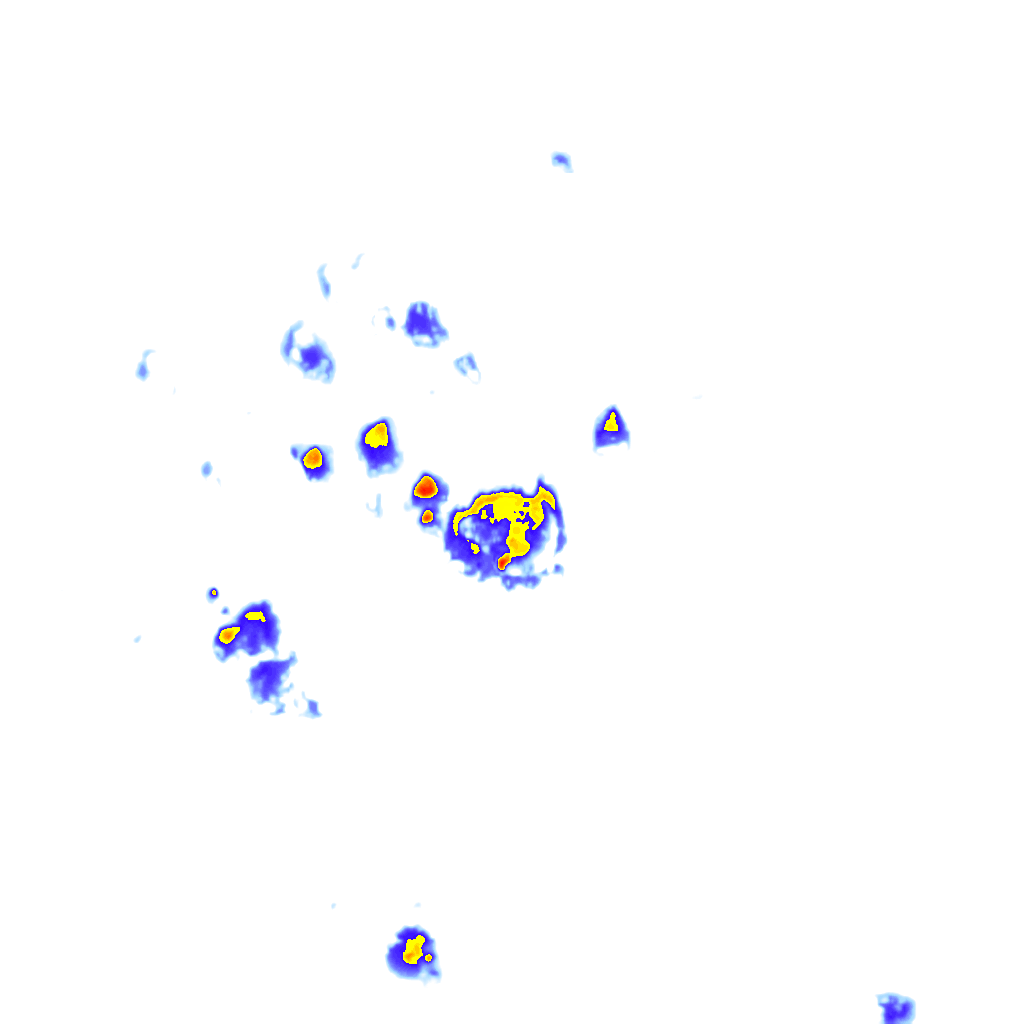 Image Layer