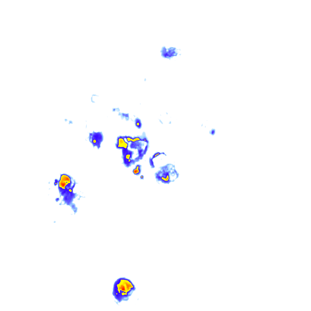 Image Layer