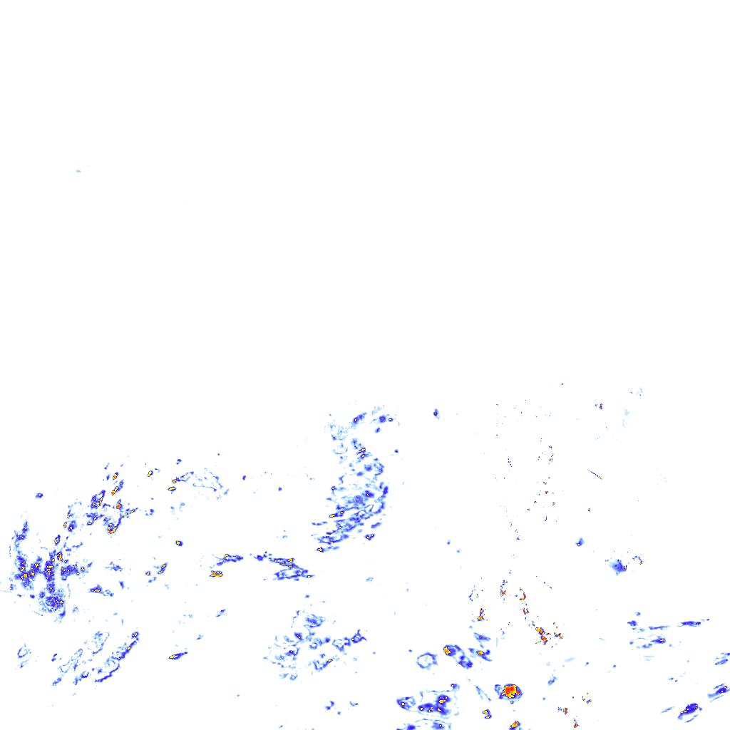 rainLayer